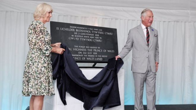 Wales, Prince, Unveiling,