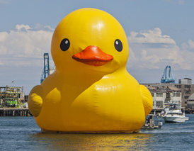 Quack Quack