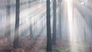 Fog clears
